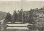 The Dawn in the Tamar River<br /> Photo in the weekly courier 1909 April 29 insert 4 just after she sank. Picture donated by Jacks ship yards, builder of the Dawn.
